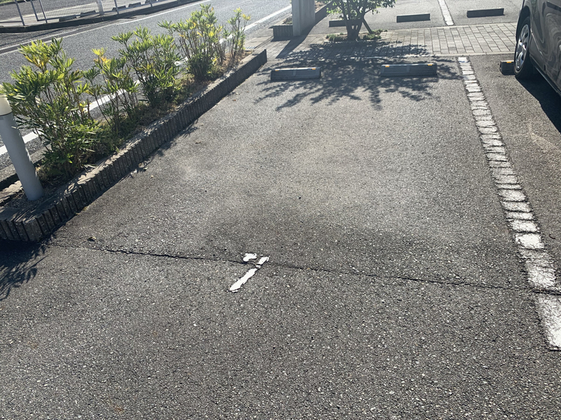 シャーメゾン クレセオ上中A棟の物件外観写真