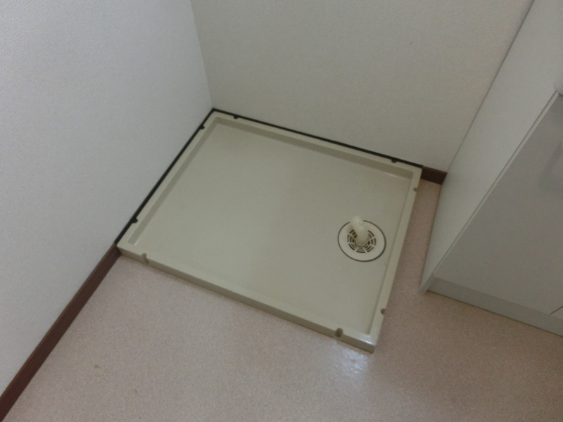 バス 写真31