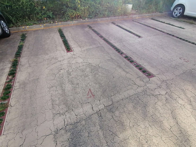 駐車場 写真10