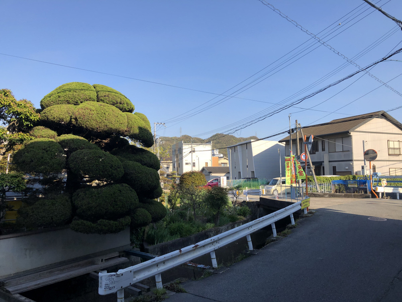 インタービレッジ青山一番館の物件内観写真