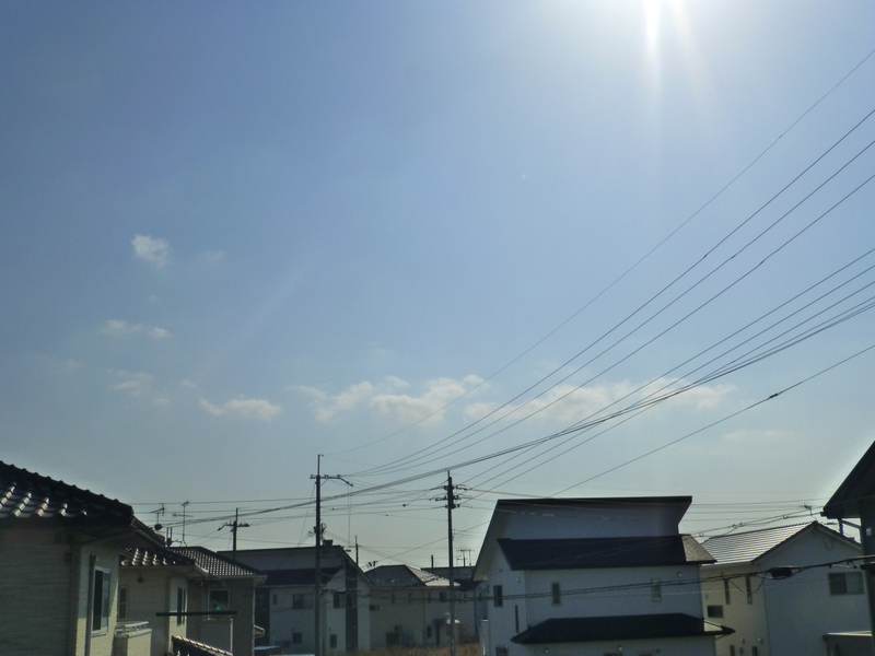 写真20