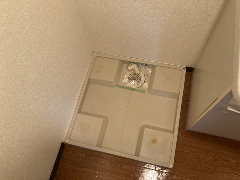 メイプル・パラーシオの物件内観写真