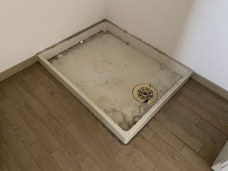 ラルジュ八代の物件内観写真