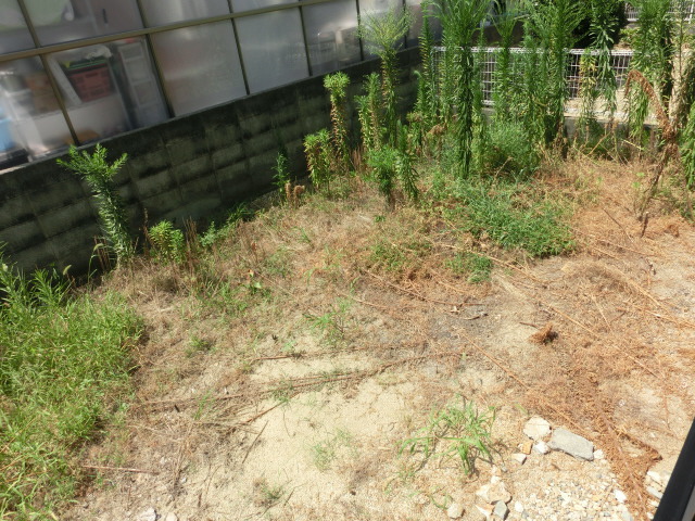 ディアス寿の物件内観写真