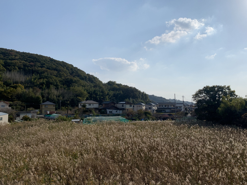 眺望 写真15