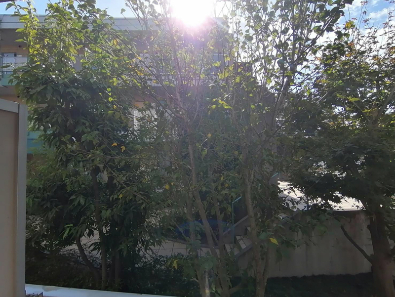 雅ガーデンハイツの物件内観写真