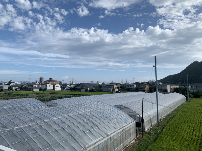 眺望 写真28