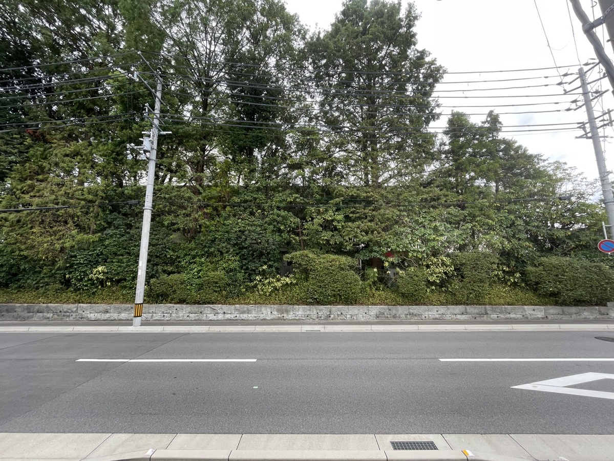 眺望 写真29
