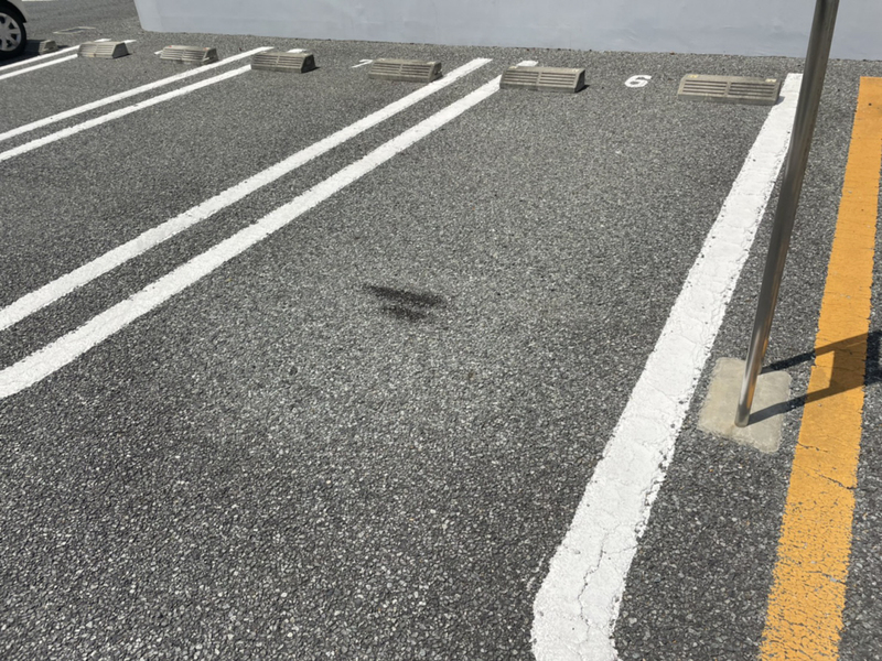 サニーガーデンⅠの物件外観写真