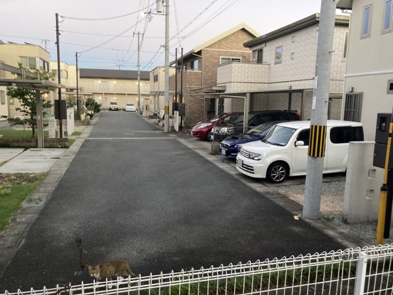 眺望 写真15