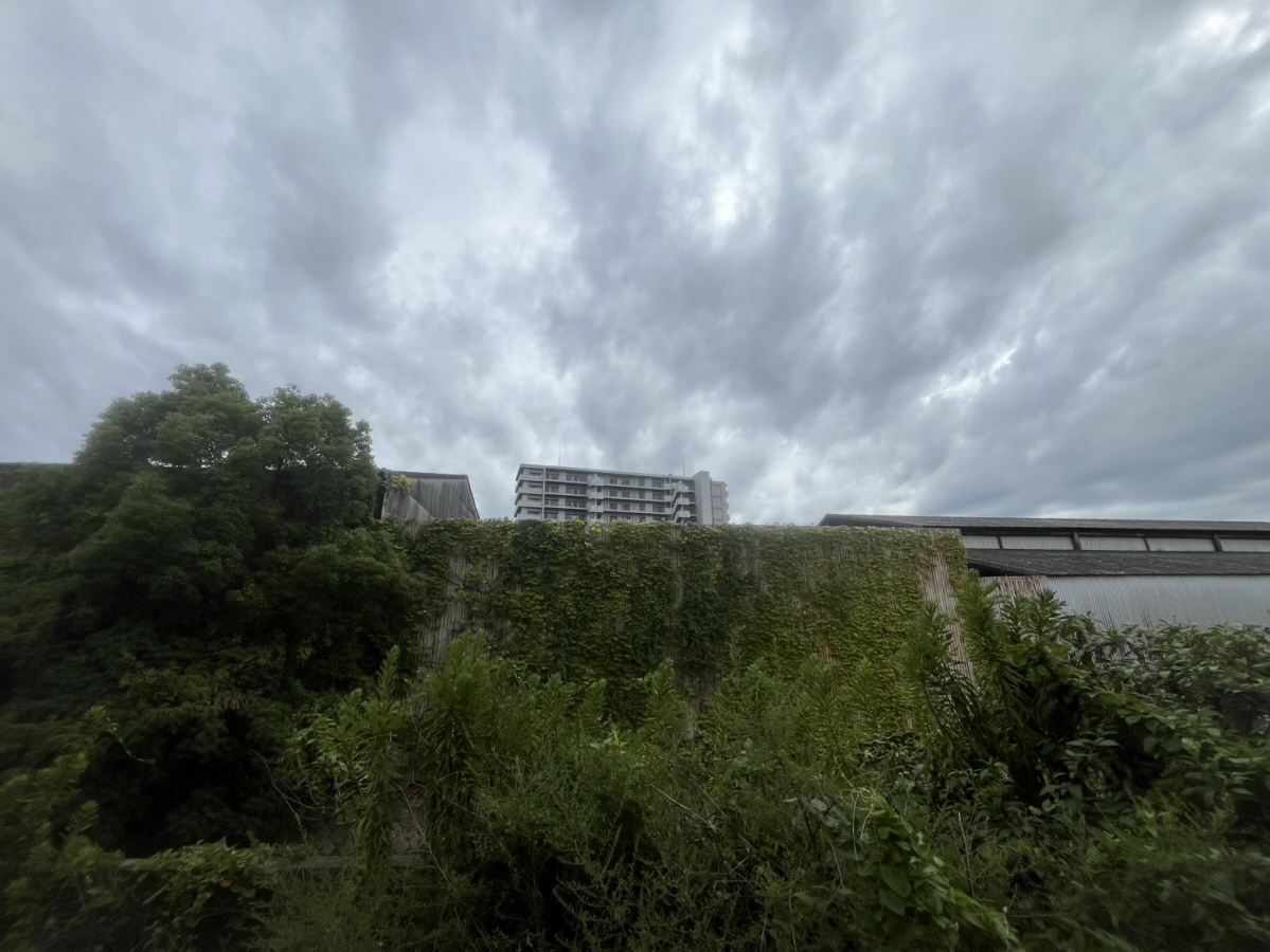眺望 写真28