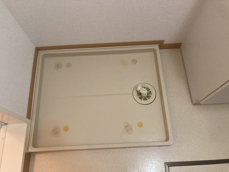 写真29
