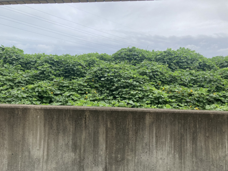 眺望 写真15