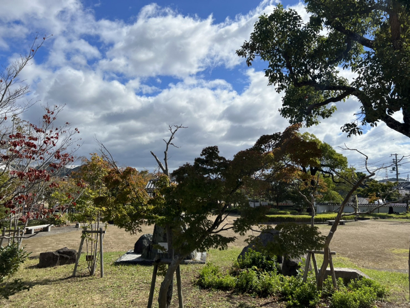 眺望 写真15