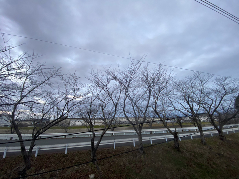 眺望 写真28