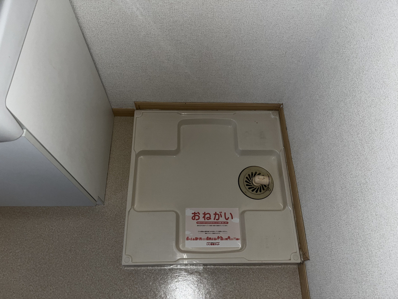 写真9