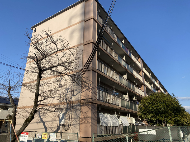 青山年ヶ森ハイツA棟の物件外観写真
