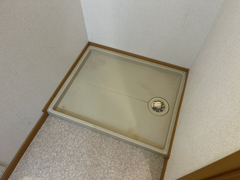ホワイト ピジョンの物件内観写真